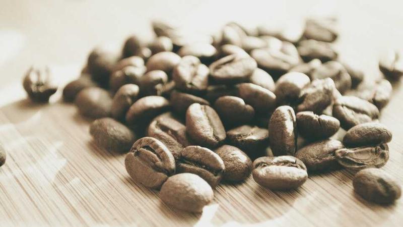 蘑菇视频在线：解锁高清视界，畅享鲜知生活